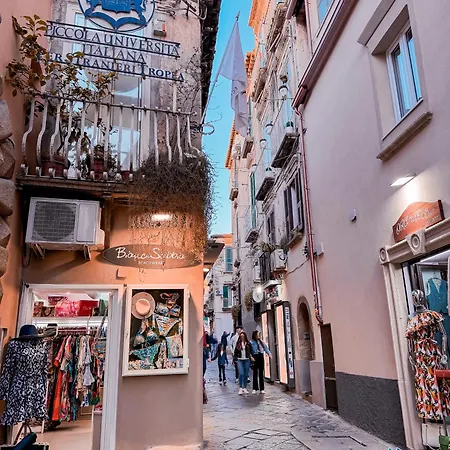 Tropealuxury Terrace Sea Apartman